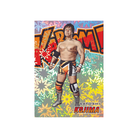 2025 Panini PFL Combat Anthology Hobby 12 Box Case